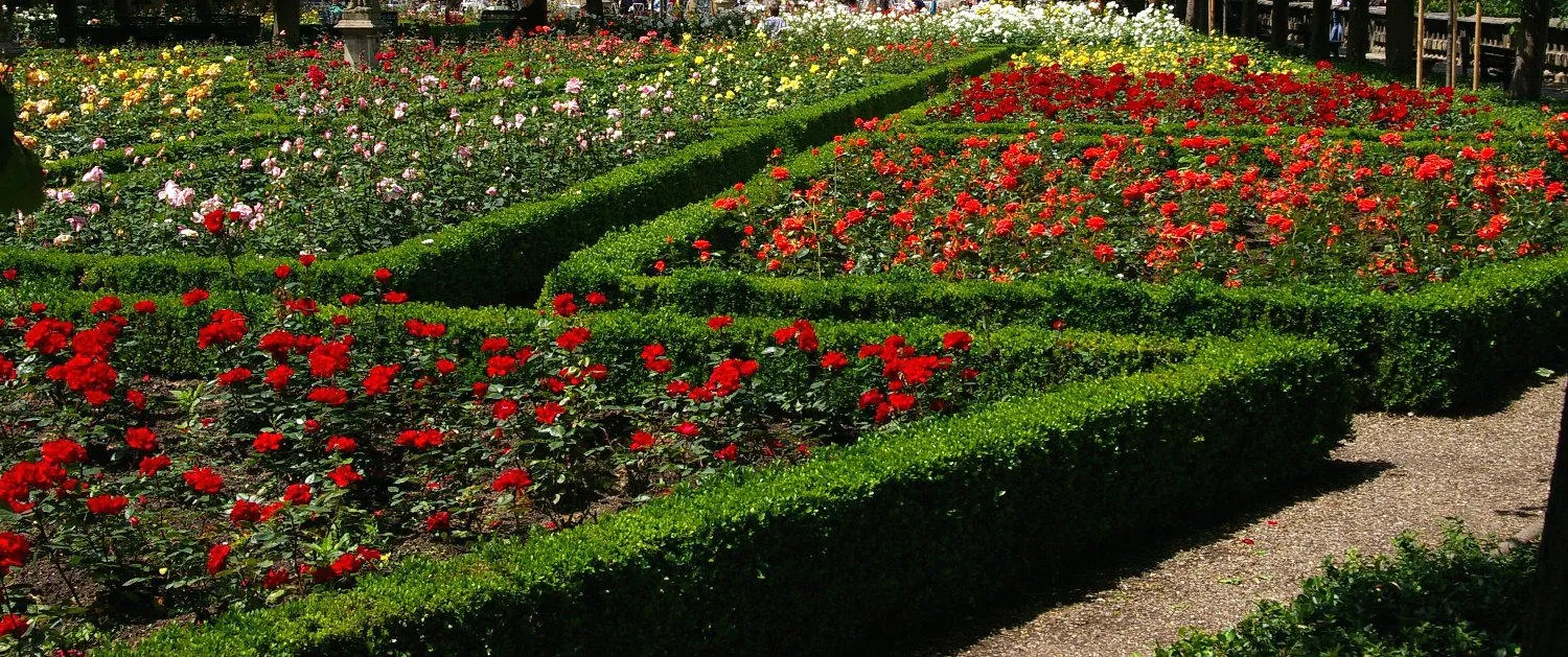 Beispiel Rosengarten